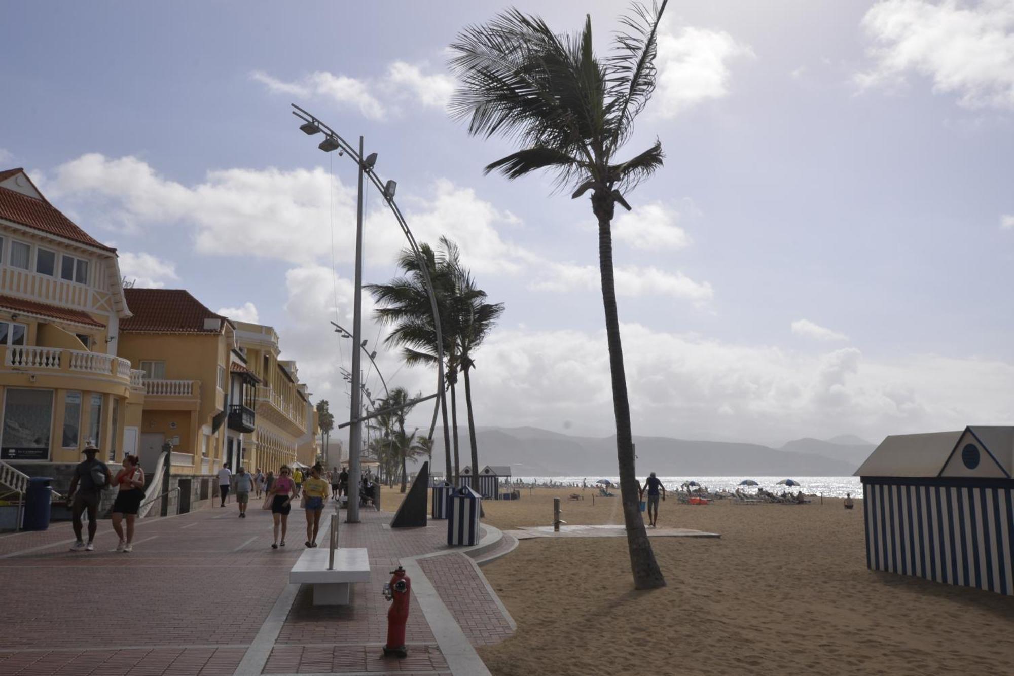 Apartamento Maralma Las Palmas de Gran Canaria Exterior photo